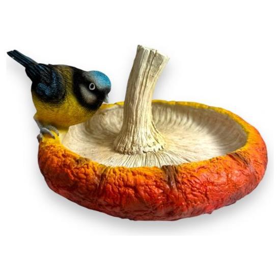 Blaumeise Vogeltränke