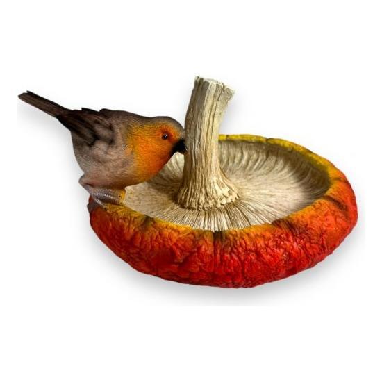 Rotkehlchen Vogeltränke