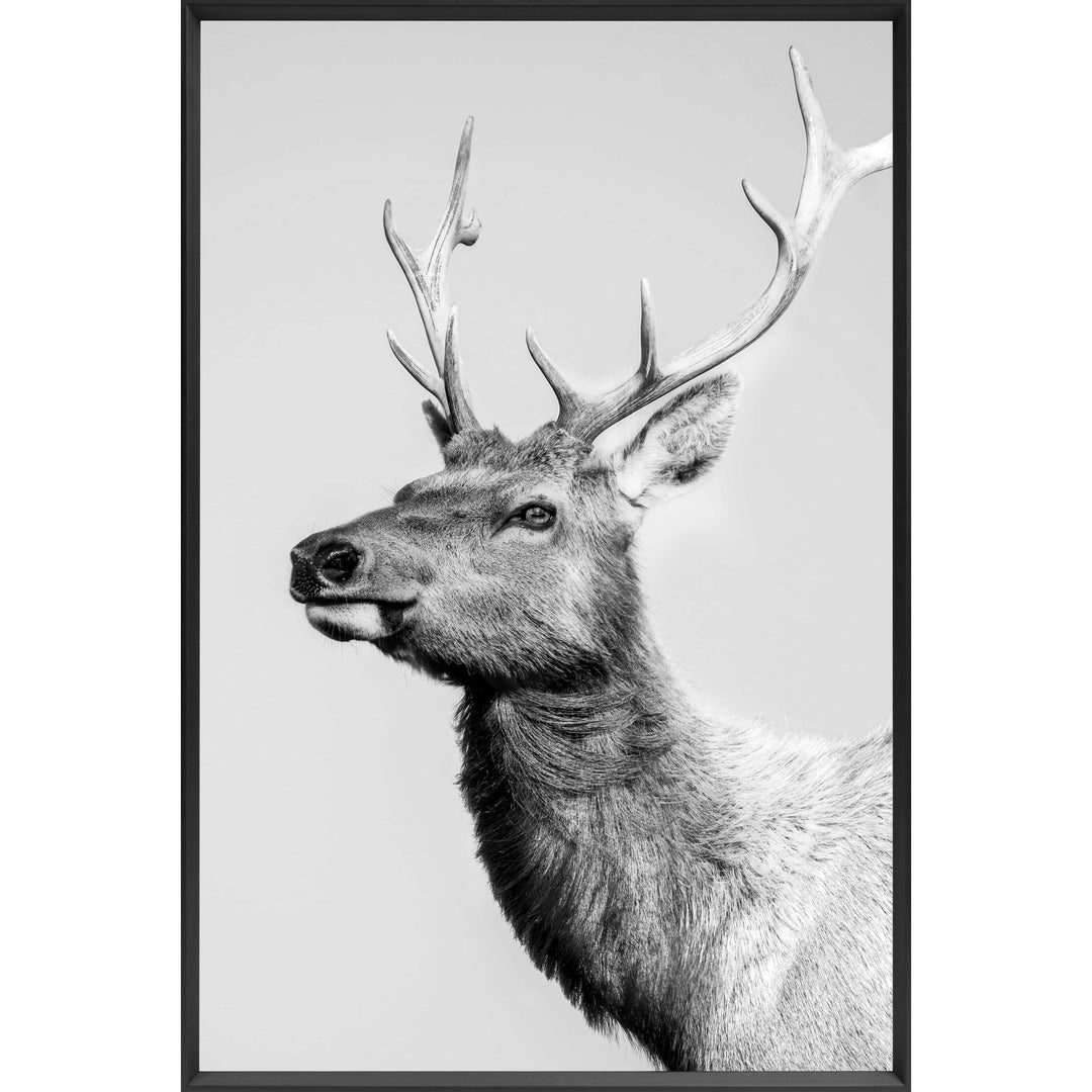 Wandbild Hirsch