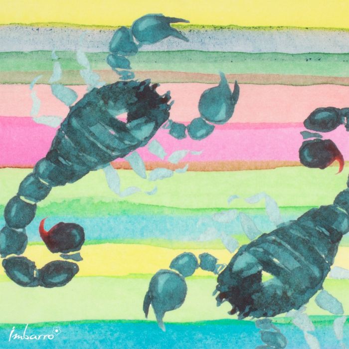 Küchentuch Scorpion 2er Set – farbenfrohe Baumwolltücher im maritimen Design
