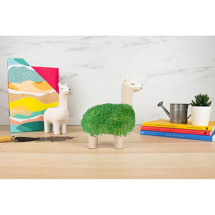Green Lama – dekoratives Pflanzset aus Keramik mit Chia Samen