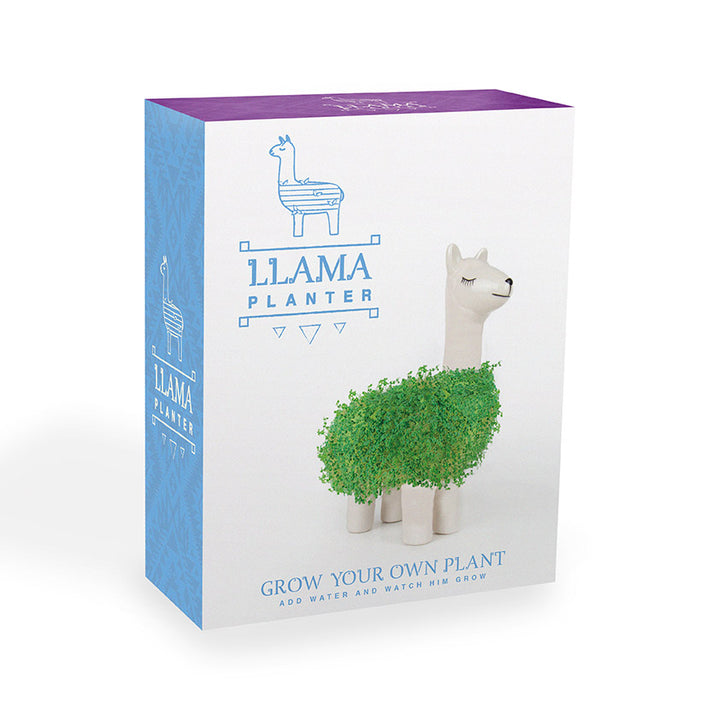 Green Lama – dekoratives Pflanzset aus Keramik mit Chia Samen