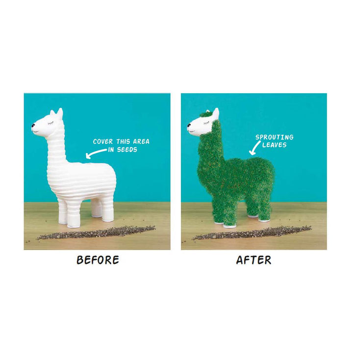 Green Lama – dekoratives Pflanzset aus Keramik mit Chia Samen