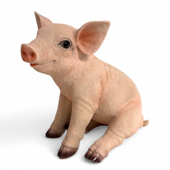 Schwein Figur sitzend aus Kunstharz – naturgetreue Tierfigur für Garten und Wohnraum, 25 cm