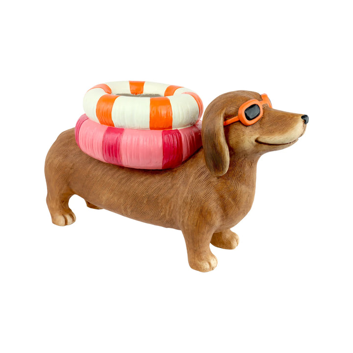 Pflanzhund Dapper Dog