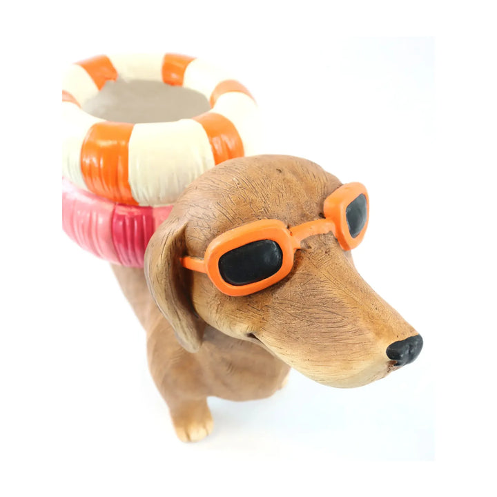 Pflanzhund Dapper Dog