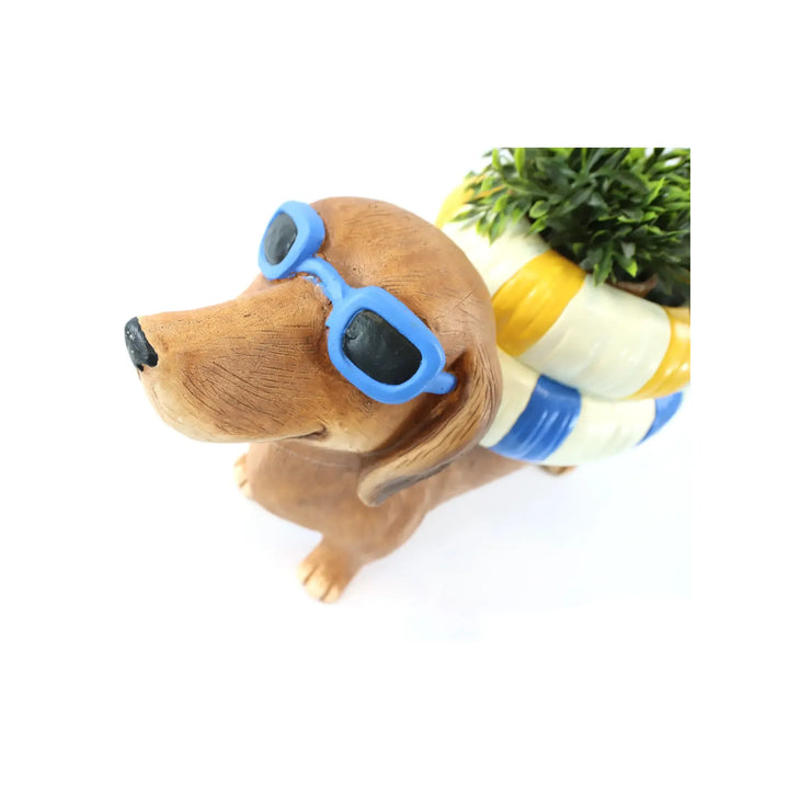 Pflanzhund Dapper Dog