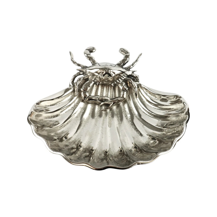 Muschelschale Ocean