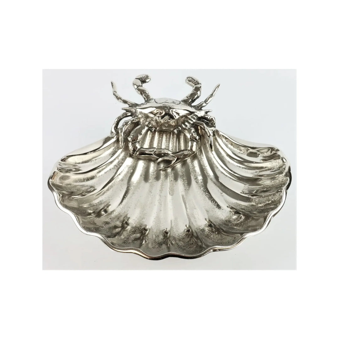 Muschelschale Ocean