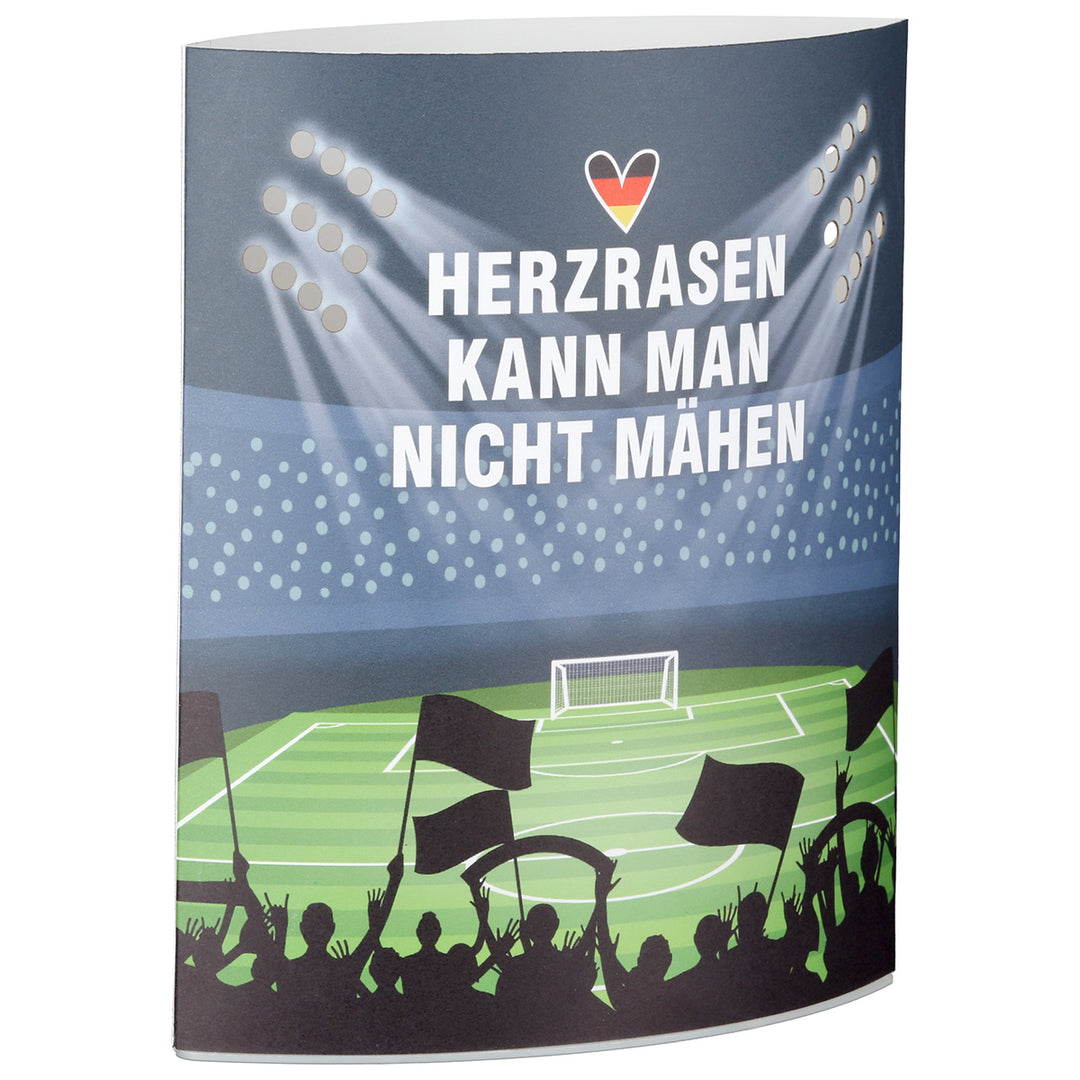 LED Dekoleuchte Ellipse „Herzrasen“ – dekorative Fußball Leuchte