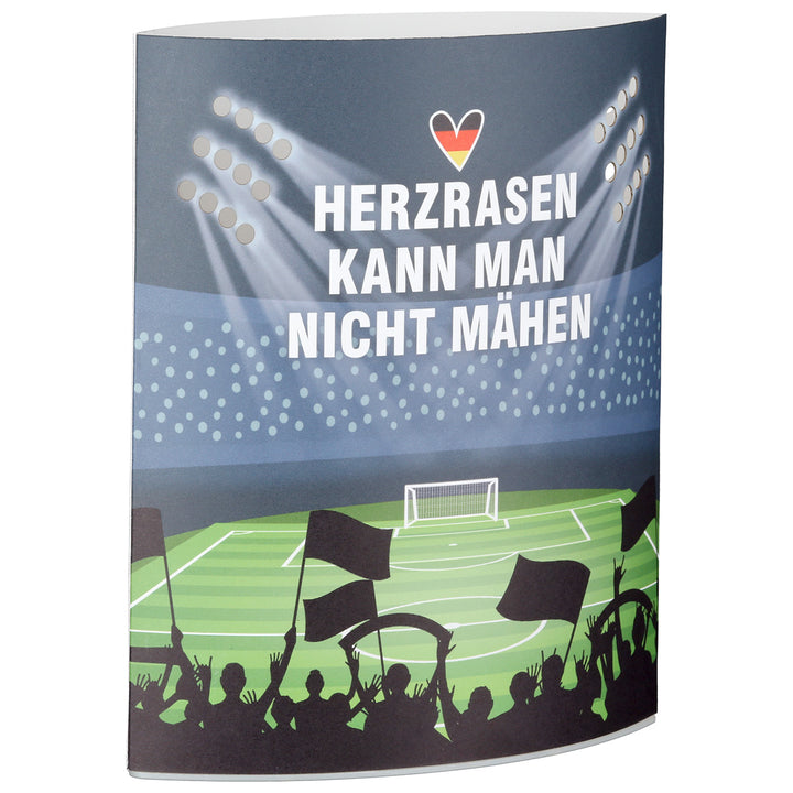 LED Dekoleuchte Ellipse „Herzrasen“ – dekorative Fußball Leuchte
