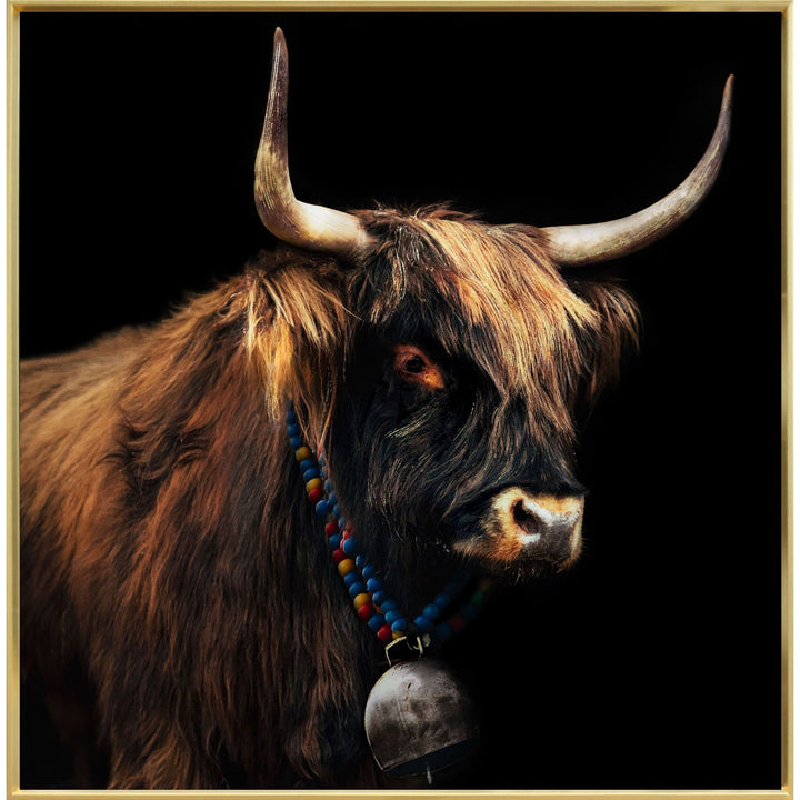 Wandbild bull