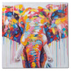 Wandbild auf Leinwand Elefant 60x60cm bunt