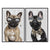 Diamant d`Art Collection Wandbild Bulldogge in 2 Varianten