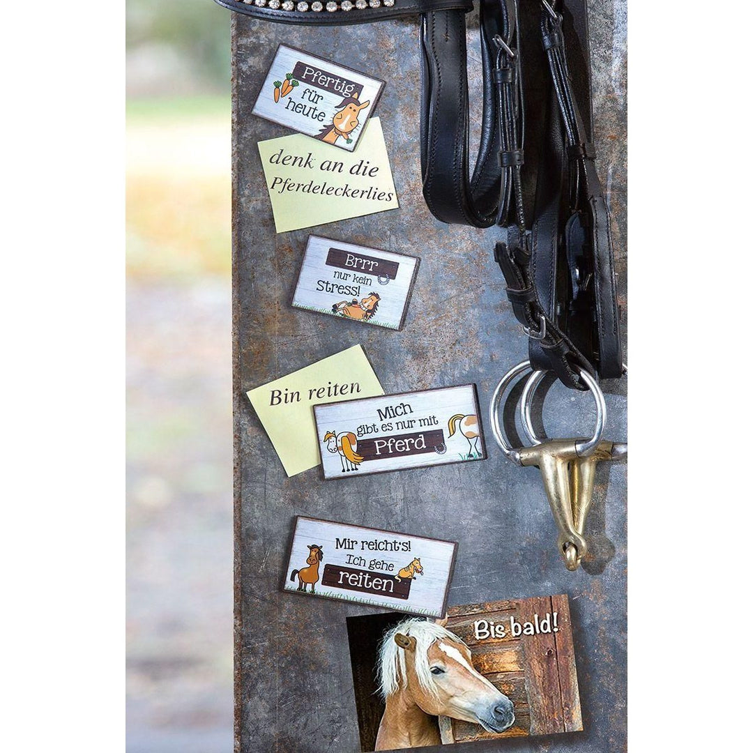 Metall Magnet Weisheit "Pferde" in 2 Varianten - Luxurelle-Shop
