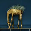 Übertopf Giraffe Gina, gold - Luxurelle-Shop